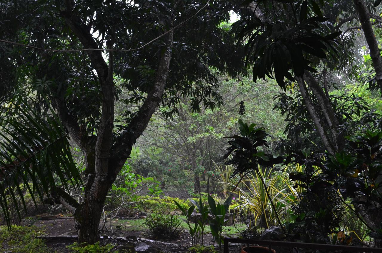 فندق Amanwana Ecofinca ميلغار المظهر الخارجي الصورة