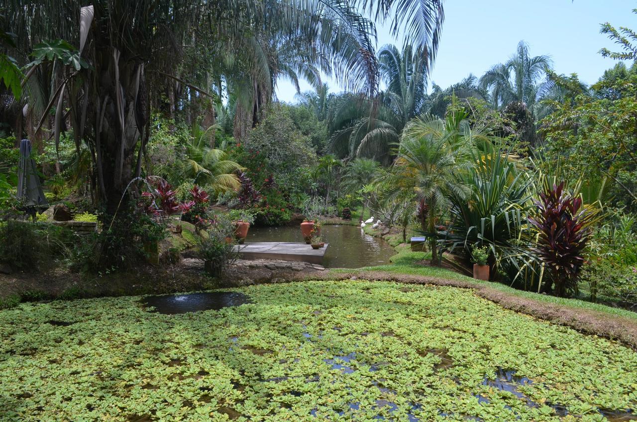 فندق Amanwana Ecofinca ميلغار المظهر الخارجي الصورة