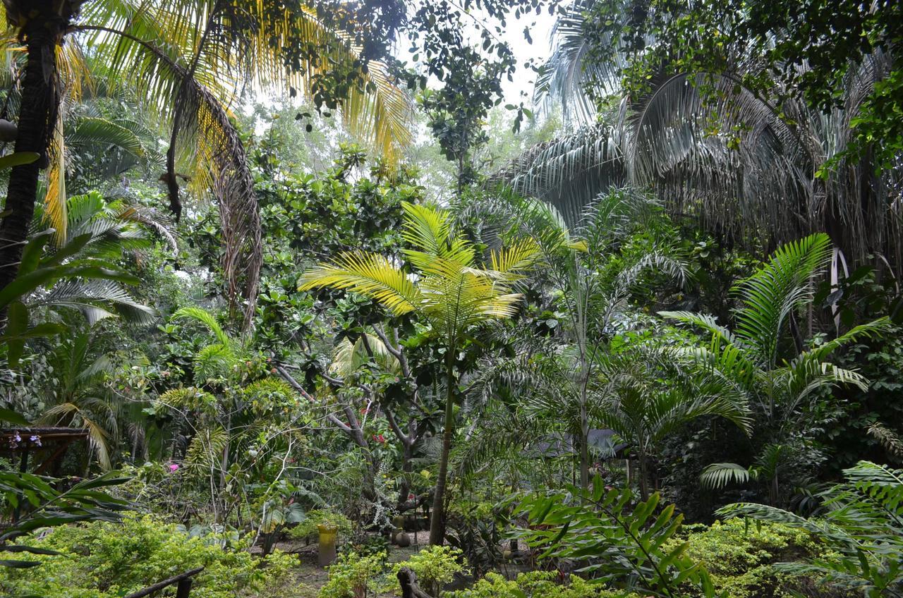 فندق Amanwana Ecofinca ميلغار المظهر الخارجي الصورة