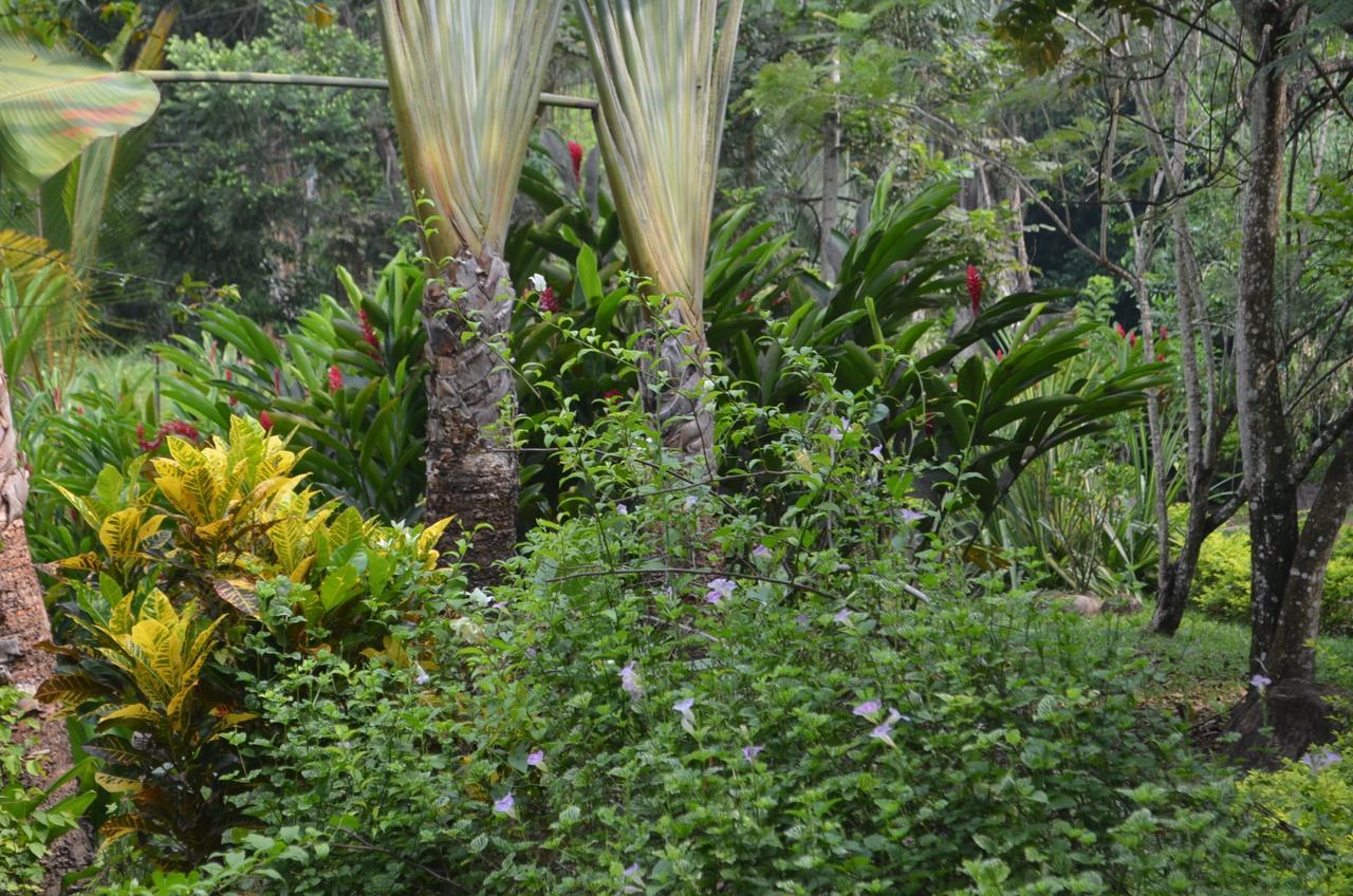 فندق Amanwana Ecofinca ميلغار المظهر الخارجي الصورة