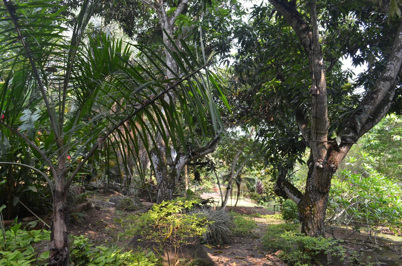 فندق Amanwana Ecofinca ميلغار المظهر الخارجي الصورة