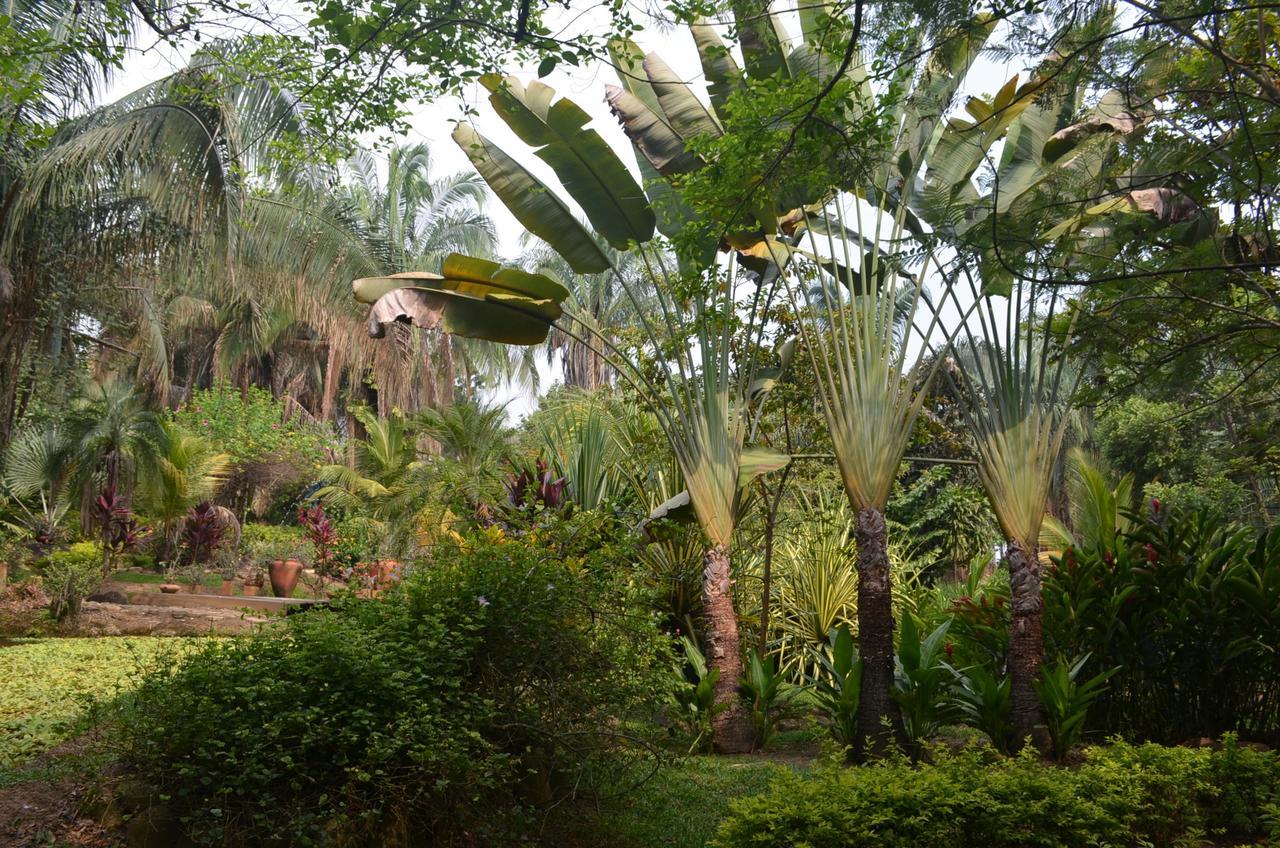 فندق Amanwana Ecofinca ميلغار المظهر الخارجي الصورة