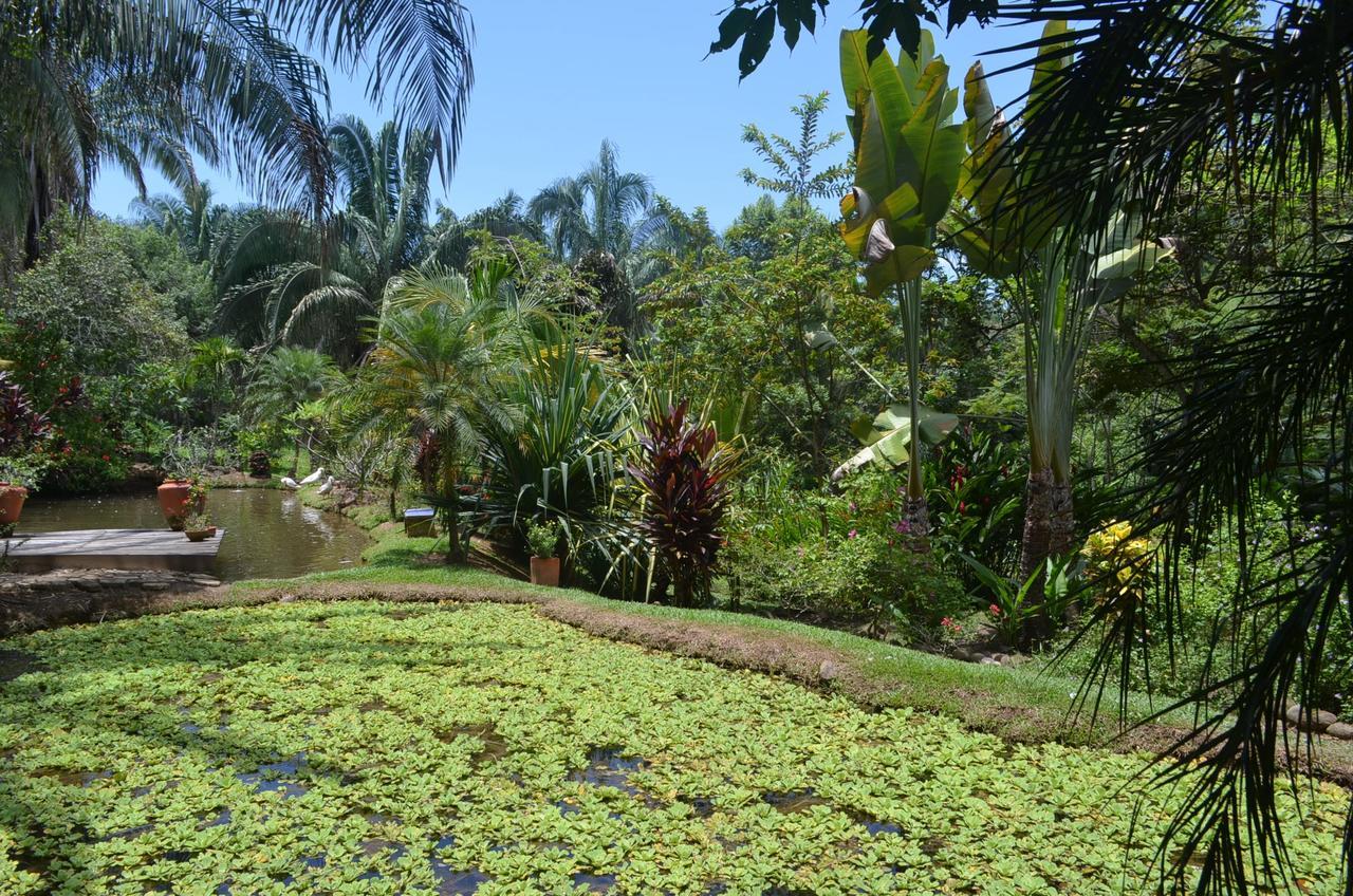 فندق Amanwana Ecofinca ميلغار المظهر الخارجي الصورة