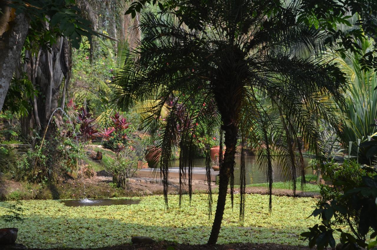 فندق Amanwana Ecofinca ميلغار المظهر الخارجي الصورة