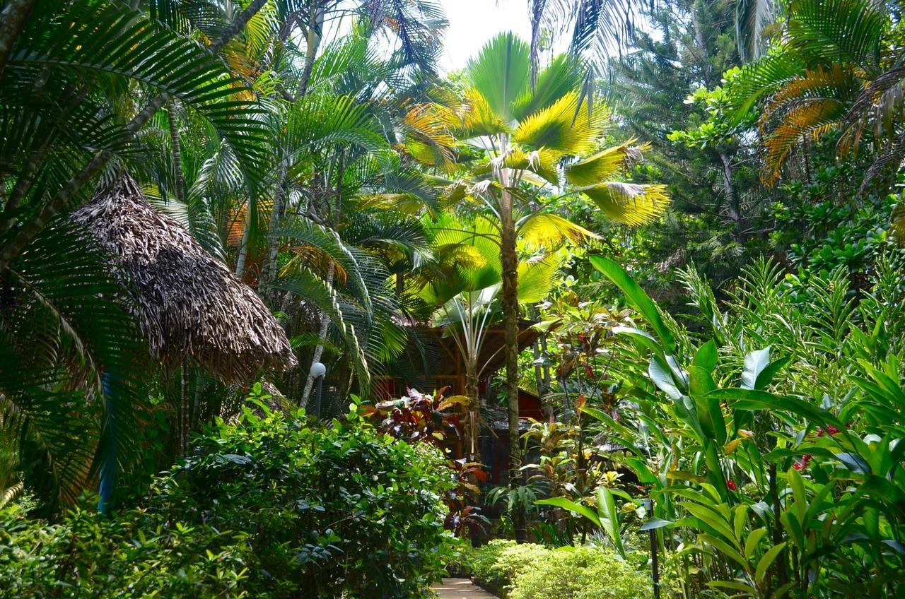 فندق Amanwana Ecofinca ميلغار المظهر الخارجي الصورة