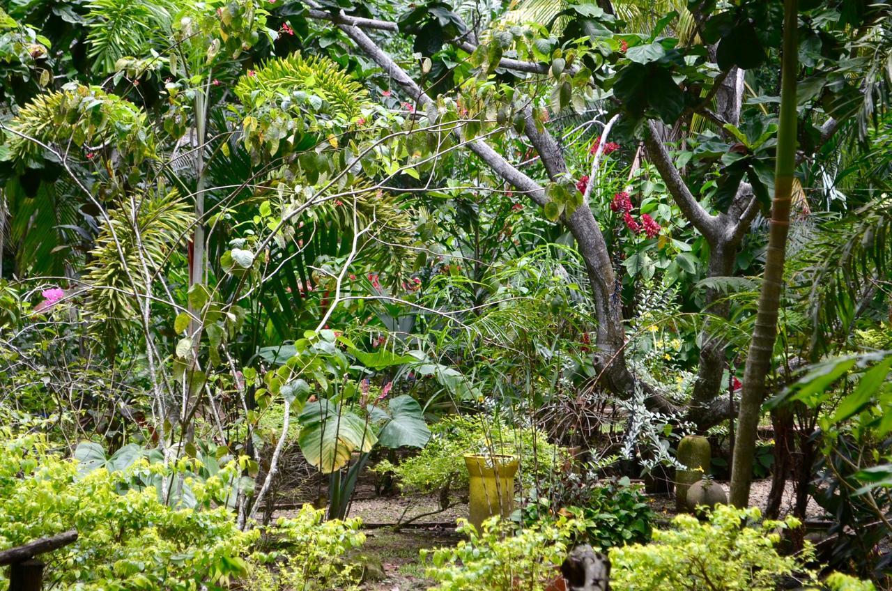 فندق Amanwana Ecofinca ميلغار المظهر الخارجي الصورة